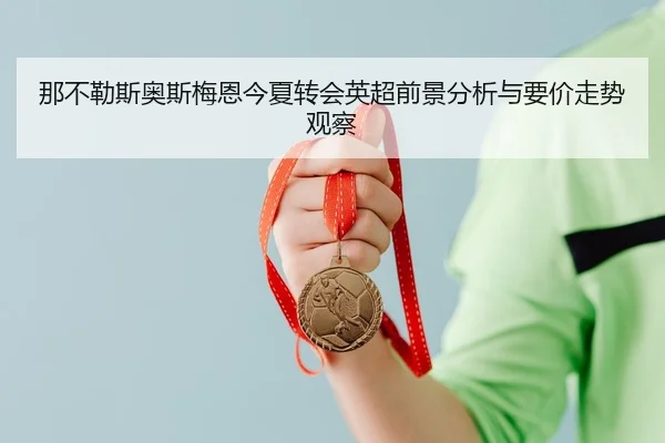 那不勒斯奥斯梅恩今夏转会英超前景分析与要价走势观察 | kaiyun
